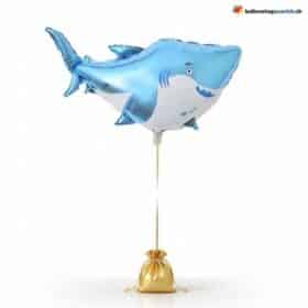 Акула, воздушный шар, синяя счастливая акула, морское существо