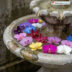 Fiori artificiali di orchidee