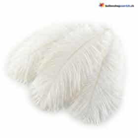 Украшение из страусиных перьев, белое, элегантное