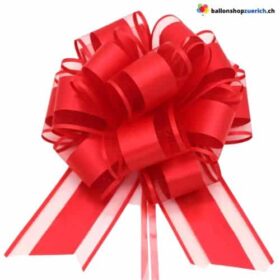 Grosse Geschenk Masche rot