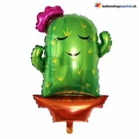 Фольгированный воздушный шар, кактус, пара (женщина или мужчина) 