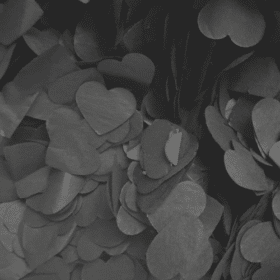 Konfetti Herzen Schwarz Seiden-Papier