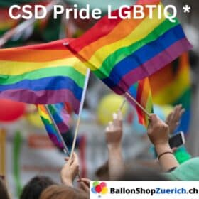 CSD Pride LGBTIQ*