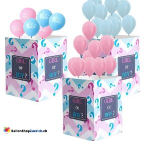 Überraschungsballon-Box Karton zur Offenlegung des Geschlechts eines Jungen oder Mädchens Genderparty Babyshower Boy or Girl ?