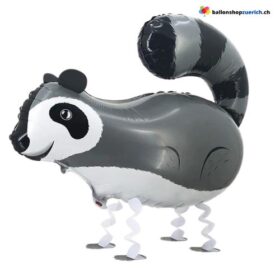 Luftballon Waschbär Walking Spazieren Pet Folien Ballon Tier Ballon Kinder Party Geburtstag Dekoration