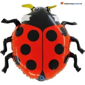 Lucky ladybug beetle foil party congratulations balloon balloon