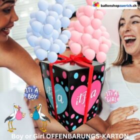 Grosse Überraschungsballon-Box Karton zur Offenlegung des Geschlechts eines Jungen oder Mädchens Genderparty Babyshower Boy or Girl ?