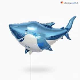 Hai Ballon Blau Meerestier Fisch