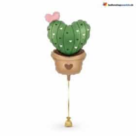 Kaktus Ballon Herz Form Grün