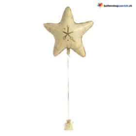 Seestern Ballon Gold Ozean