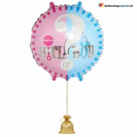 Gender Reveal Ballon Girl or Boy Rosa Blau