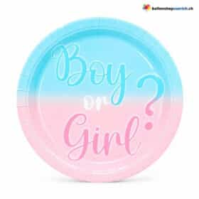 Gender Reveal Einwegteller Boy or Girl Rosa Blau 