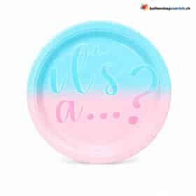 Gender Reveal Einwegteller Rosa Blau